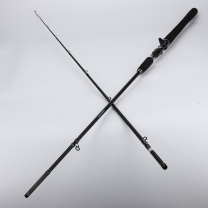 Lightweight Fishing Poles - Portable Rods for Freshwater & Saltwater Fishing Trips