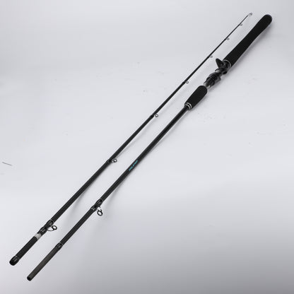 Lightweight Fishing Poles - Portable Rods for Freshwater & Saltwater Fishing Trips