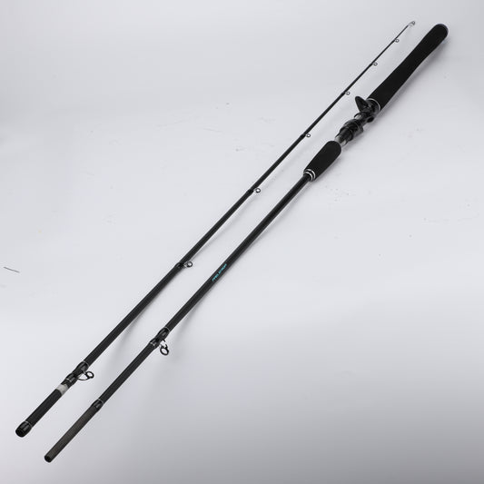 Lightweight Fishing Poles - Portable Rods for Freshwater & Saltwater Fishing Trips